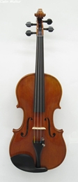 Calin Wultur(カリン ワルター) バイオリン  Romania